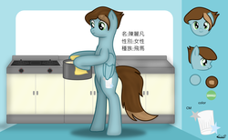 Size: 1465x900 | Tagged: safe, artist:99999999000, oc, oc:chen lifan, bipedal, chinese, cook, cooking, food, pot, reference sheet, soup