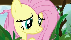 Size: 1920x1080 | Tagged: safe, screencap, fluttershy, pony, g4, she talks to angel, cute, female, mare, messy mane, shyabetes, solo