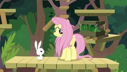 Size: 1920x1080 | Tagged: safe, screencap, angel bunny, fluttershy, pegasus, pony, rabbit, g4, she talks to angel, animal, duo, female, male, mare, messy mane, sweet feather sanctuary