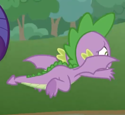 Size: 526x483 | Tagged: safe, screencap, rarity, spike, dragon, g4, the ending of the end, leak, claws, cropped, flying, male, offscreen character, spread toes, tail, underfoot, winged spike, wings