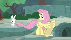 Size: 1920x1080 | Tagged: safe, screencap, angel bunny, fluttershy, pegasus, pony, rabbit, g4, she talks to angel, animal, duo, female, male, mare, scroll, wing hands, wing hold, wings