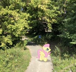 Size: 2777x2635 | Tagged: safe, gameloft, photographer:undeadponysoldier, fluttershy, pegasus, pony, g4, augmented reality, female, high res, irl, mare, photo, ponies in real life, tree