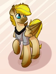 Size: 3000x4000 | Tagged: safe, artist:witchtaunter, oc, oc only, pegasus, pony, commission, gradient background, solo