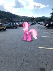 Size: 3024x4032 | Tagged: safe, gameloft, photographer:undeadponysoldier, cheerilee, pony, g4, augmented reality, car, female, food, irl, mare, parking lot, photo, ponies in real life, subway, suv, van, vehicle, walmart