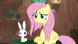Size: 1920x1080 | Tagged: safe, screencap, angel bunny, fluttershy, pegasus, pony, rabbit, g4, she talks to angel, animal, duo, female, male, mare, smiling