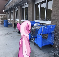 Size: 3024x2939 | Tagged: safe, gameloft, photographer:undeadponysoldier, cheerilee, earth pony, pony, g4, augmented reality, female, high res, irl, mare, photo, ponies in real life, shopping cart, solo, walmart