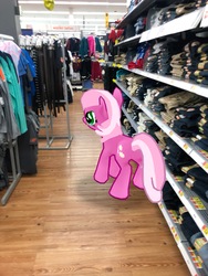 Size: 3024x4032 | Tagged: safe, gameloft, photographer:undeadponysoldier, cheerilee, earth pony, pony, g4, augmented reality, clothes, female, irl, mare, photo, ponies in real life, shopping, solo, walmart