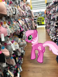 Size: 3024x4032 | Tagged: safe, gameloft, photographer:undeadponysoldier, cheerilee, earth pony, pony, g4, augmented reality, bra, clothes, female, irl, mare, photo, ponies in real life, shopping, solo, underwear