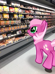 Size: 3024x4032 | Tagged: safe, gameloft, photographer:undeadponysoldier, cheerilee, earth pony, pony, g4, augmented reality, female, food, irl, lunchable, mare, photo, ponies in real life, shopping, solo, walmart