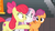 Size: 1600x900 | Tagged: safe, screencap, apple bloom, scootaloo, sweetie belle, g4, growing up is hard to do, my little pony: friendship is magic, bleachers, cutie mark, cutie mark crusaders, happy, older, older apple bloom, older cmc, older scootaloo, older sweetie belle, the cmc's cutie marks