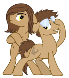 Size: 3325x3759 | Tagged: safe, artist:estories, oc, oc only, oc:doublewbrothers, earth pony, pony, g4, high res, male, simple background, stallion, transparent background, vector
