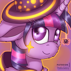 Size: 3000x3000 | Tagged: safe, artist:shad0w-galaxy, twilight sparkle, alicorn, pony, spider, g4, clothes, costume, female, fluffy, halloween, halloween costume, hat, high res, holiday, nightmare night, nightmare night costume, patreon, patreon logo, smiling, solo, twilight sparkle (alicorn), witch hat