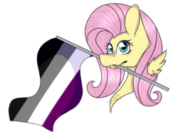 Size: 700x519 | Tagged: safe, artist:chazmazda, fluttershy, pegasus, pony, g4, asexual, asexual pride flag, bust, commission, female, flag, mare, mouth hold, pride, pride flag, shade, simple background, transparent background, ych result