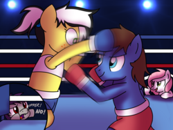 Size: 1600x1200 | Tagged: safe, artist:toyminator900, oc, oc only, oc:bizarre song, oc:coldfire (bat pony), oc:sugar morning, oc:uppercute, bat pony, pegasus, pony, bipedal, blurry, boxing, boxing gloves, boxing ring, clothes, dialogue, dodge, female, lights, male, mare, midriff, shorts, sports, sports bra, sports shorts, stallion