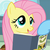 Size: 1032x1032 | Tagged: safe, screencap, fluttershy, rainbow dash, pegasus, pony, daring doubt, g4, book, cropped, cute, female, mare, saddle bag, shyabetes, smiling