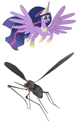 Size: 651x1026 | Tagged: safe, twilight sparkle, alicorn, insect, mosquito, pony, g4, the last problem, leak, bloodbug, fallout, insane troll logic, older, older twilight, older twilight sparkle (alicorn), only the dead can know peace from this evil, op is on drugs, princess twilight 2.0, seems legit, spoiler, twiggle-legs, twilight sparkle (alicorn)