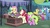 Size: 1920x1080 | Tagged: safe, screencap, angel bunny, country roads, daisy, flower wishes, fluttershy, gooseberry, pokey pierce, roseluck, earth pony, pony, unicorn, g4, my little pony: friendship is magic, she talks to angel, background pony, body swap, bouquet, butt, female, filly, flower, foal, friendship student, magic, magic aura, male, mare, plot, rosebutt, stallion, telekinesis