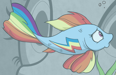 Size: 240x156 | Tagged: safe, artist:skitter, idw, rainbow dash, fish, goldfish, rainbow trout, g4, spoiler:comic, spoiler:comic78, cropped, female, fishified, solo, species swap