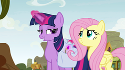Size: 1920x1080 | Tagged: safe, screencap, fluttershy, twilight sparkle, alicorn, pegasus, pony, g4, growing up is hard to do, duo, female, folded wings, glowing horn, grin, horn, lidded eyes, looking at each other, magic, mare, saddle bag, smiling, twilight sparkle (alicorn), wings
