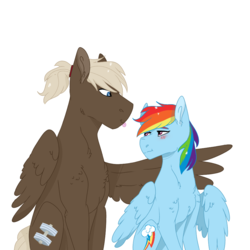 Size: 1000x1000 | Tagged: safe, artist:xsugarxwolfiex, dumbbell, rainbow dash, pegasus, pony, g4, blushing, chest fluff, dumbdash, ear fluff, female, looking at each other, male, mare, one wing out, shipping, simple background, sitting, stallion, straight, tongue out, white background, wings