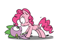 Size: 877x637 | Tagged: safe, artist:loreto-arts, pinkie pie, spike, dragon, pony, g4, female, male, ship:pinkiespike, shipping, simple background, straight, transparent background, winged spike, wings