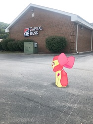Size: 3024x4032 | Tagged: safe, gameloft, photographer:undeadponysoldier, apple bloom, earth pony, pony, g4, augmented reality, building, capital bank, female, filly, irl, photo, ponies in real life, solo