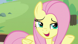 Size: 1280x720 | Tagged: safe, artist:wissle, edit, screencap, discord, doctor fauna, fluttershy, draconequus, earth pony, koala, pegasus, pony, raccoon, g4, she talks to angel, animal, animated, body swap, cute, discute, female, grin, happy, i want to marry discord, implied discoshy, implied shipping, implied straight, male, mare, parody, scene parody, shipping fuel, smiling, sound, sound at source, sweet feather sanctuary, webm, youtube link
