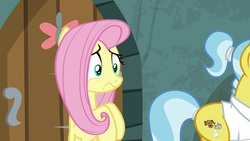 Size: 1920x1080 | Tagged: safe, screencap, angel bunny, doctor fauna, fluttershy, earth pony, pegasus, pony, g4, she talks to angel, body swap, duo, female, mare, worried