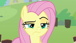 Size: 1920x1080 | Tagged: safe, screencap, angel bunny, fluttershy, pony, g4, she talks to angel, angel bunny is not amused, body swap, female, mare, raised eyebrow, solo