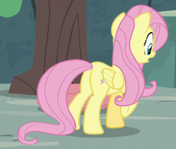 Size: 723x610 | Tagged: safe, screencap, fluttershy, pegasus, pony, g4, she talks to angel, butt, cropped, female, flutterbutt, folded wings, mare, plot, solo, wings