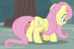 Size: 736x491 | Tagged: safe, screencap, fluttershy, pegasus, pony, g4, she talks to angel, butt, cropped, female, flutterbutt, folded wings, mare, plot, solo, wings