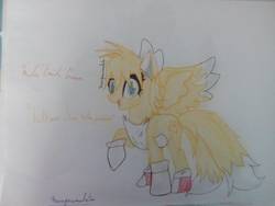 Size: 1032x774 | Tagged: safe, artist:mrbrosclassy, pegasus, pony, male, miles "tails" prower, multiple tails, ponified, raised hoof, request, solo, sonic the hedgehog (series), tail, traditional art, two tails