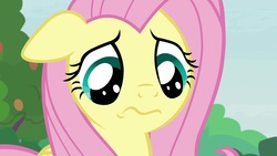 Size: 1920x1080 | Tagged: safe, screencap, angel bunny, fluttershy, pony, g4, she talks to angel, female, floppy ears, mare, solo, wavy mouth