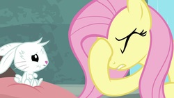 Size: 1920x1080 | Tagged: safe, screencap, angel bunny, fluttershy, pony, rabbit, g4, she talks to angel, animal, body swap, duo, facehoof, female, male, mare