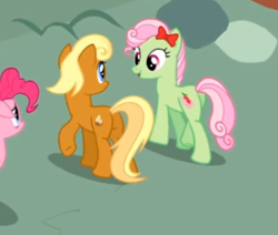 Size: 345x292 | Tagged: safe, screencap, apple cobbler, florina tart, pinkie pie, earth pony, pony, g4, pinkie pride, apple family member, background pony, bow, butt, cobblerbutt, cropped, duo focus, female, hair bow, looking at each other, mare, plot, tartbutt, walking