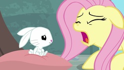 Size: 1920x1080 | Tagged: safe, screencap, angel bunny, fluttershy, pony, rabbit, g4, she talks to angel, animal, body swap, duo, eyes closed, female, male, mare, open mouth, solo