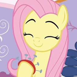 Size: 1076x1076 | Tagged: safe, screencap, fluttershy, pegasus, pony, dragon dropped, g4, cropped, cute, eyebrows, eyes closed, fabric, female, mare, pincushion, shyabetes, smiling, solo