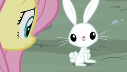 Size: 1920x1080 | Tagged: safe, screencap, angel bunny, fluttershy, pony, rabbit, g4, she talks to angel, animal, duo, female, male, mare, smiling