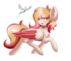 Size: 2520x2160 | Tagged: safe, artist:prism(not colourful), oc, oc only, oc:ruby, parakeet, pegasus, pony, female, high res, mare, simple background, solo, transparent background, two toned wings, wings