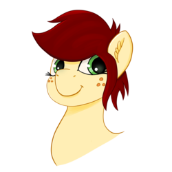 Size: 2600x2600 | Tagged: safe, artist:chrisfhey, oc, oc only, oc:canni soda, earth pony, pony, female, freckles, green eyes, high res, mare, mascot, red mane