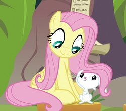 Size: 774x677 | Tagged: safe, screencap, angel bunny, fluttershy, pegasus, pony, rabbit, g4, she talks to angel, angelbetes, animal, cropped, cute, duo, female, looking at each other, male, mare, shyabetes, sitting