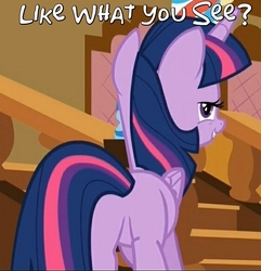 Size: 562x583 | Tagged: safe, edit, edited screencap, editor:twilyisbestpone, screencap, twilight sparkle, alicorn, pony, g4, season 5, the one where pinkie pie knows, butt, caption, cropped, female, image macro, lidded eyes, like what you see?, looking at you, mare, out of context, plot, presenting, sexy, smiling, solo, staircase, stairs, stupid sexy twilight, text, twibutt, twilight sparkle (alicorn)