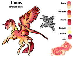 Size: 3176x2480 | Tagged: safe, artist:oneiria-fylakas, oc, oc only, oc:janus, alicorn, braham, original species, pony, seraph, seraphicorn, high res, male, multiple wings, reference sheet, simple background, solo, transparent background