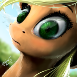 Size: 512x512 | Tagged: safe, artist:thatdreamerarts, applejack, earth pony, pony, g4, close-up, female, frown, mare, solo