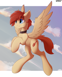 Size: 4000x5000 | Tagged: safe, artist:capseys, oc, oc only, oc:flair, pegasus, pony, absurd resolution, collar, flying