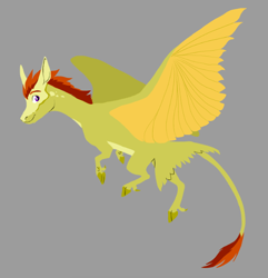 Size: 666x691 | Tagged: safe, artist:phobicalbino, oc, oc only, oc:lionfyre, pegasus, pony, bald face, blaze (coat marking), coat markings, dewclaw, facial markings, flying, gray background, leonine tail, male, simple background, solo, stallion, tail feathers