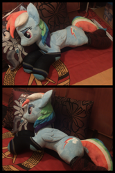 Size: 2164x3264 | Tagged: safe, artist:blackwater627, rainbow dash, pegasus, pony, g4, bedroom eyes, clothes, cute, east germany, gdr, high res, irl, lying down, national flag, photo, pillow, plushie, socks, solo