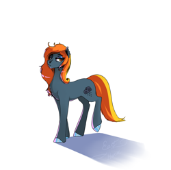 Size: 4409x4369 | Tagged: safe, artist:easthoku, oc, oc only, oc:rain drop, earth pony, pony, female, mare, simple background, smiling, solo, walking, white background