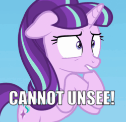 Size: 500x486 | Tagged: safe, edit, edited screencap, screencap, starlight glimmer, pony, unicorn, g4, the cutie re-mark, animated, bipedal, cannot unsee, caption, cropped, female, gif, image macro, mare, meme, reaction image, s5 starlight, solo, text