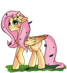 Size: 1100x1200 | Tagged: safe, artist:cottonsweets, fluttershy, butterfly, pegasus, pony, blushing, cute, female, flower, fluffy, freckles, grass, leaves, original art, pink, shyabetes, simple background, solo, transparent background, yellow